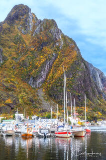 Colourful sailboats in Henningsvaer Harbour in Lofoten.
