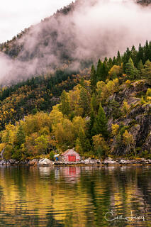 Cabin with a red door amongst the green trees on the Mostraumen Fjord.