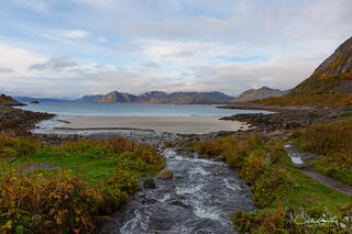 Islands in the Stream