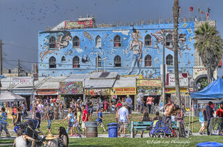 A Typical Day on Venice Beach