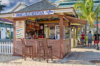 Jamaica Blue Mountain Coffee