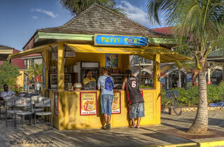 Patty Port