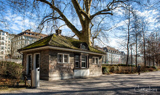 Zurich Park Walk