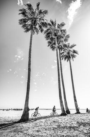 Venice Beach