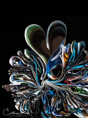 Fine art photograph of folded Seajet Magazine in the shape of hearts