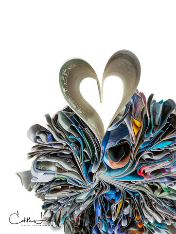 Fine art photograph of folded Seajet Magazine in the shape of hearts