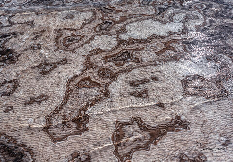 Salt Map