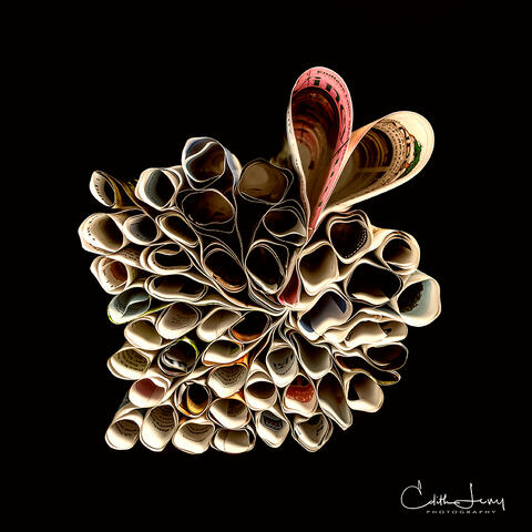 Fine art photograph of a folded copy of Martha's Vineyard magazine in the shape of hearts