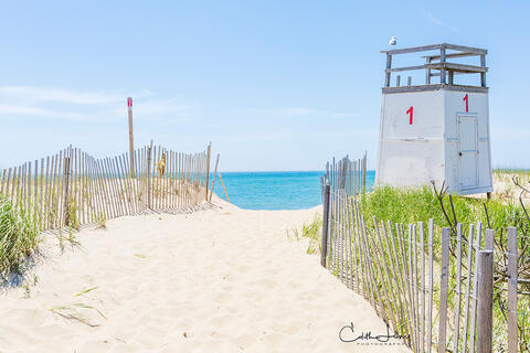 The sandy path, creates beautiful leading lines toward Katama beach in Martha's Vineyard with a seagull keeping watch on top of the lifeguard tower