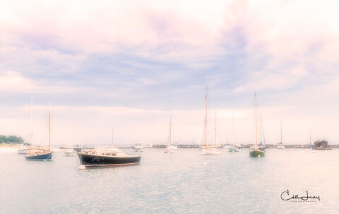 sailboats waiting in the moored in the harbour in Vineyard Haven in Martha's Vineyard